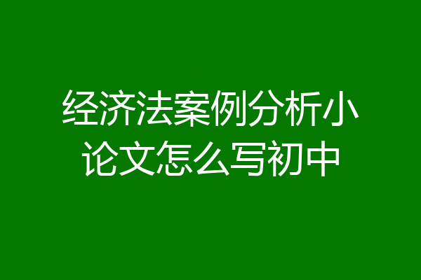 经济法案例分析小论文怎么写初中