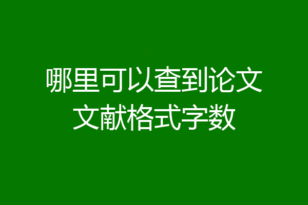 哪里可以查到论文文献格式字数