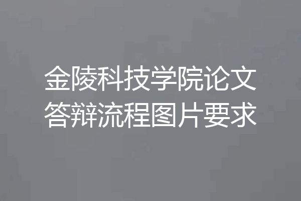 金陵科技学院论文答辩流程图片要求