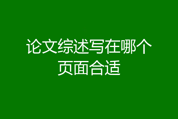 论文综述写在哪个页面合适