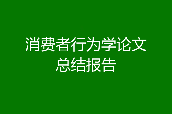 消费者行为学论文总结报告