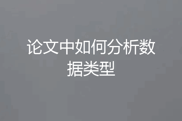 论文中如何分析数据类型