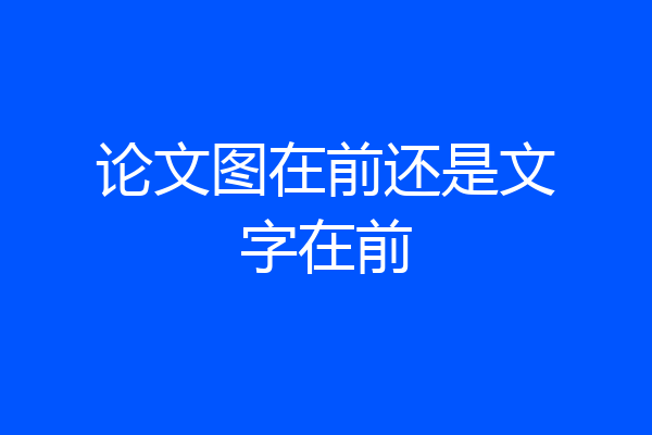 论文图在前还是文字在前