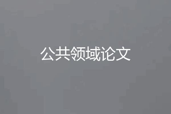 公共领域论文