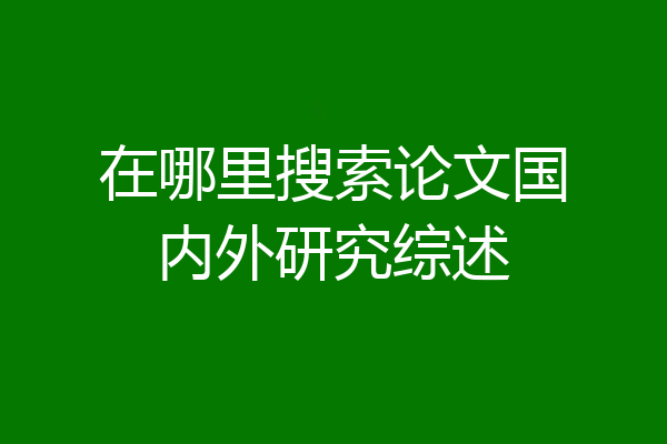 在哪里搜索论文国内外研究综述