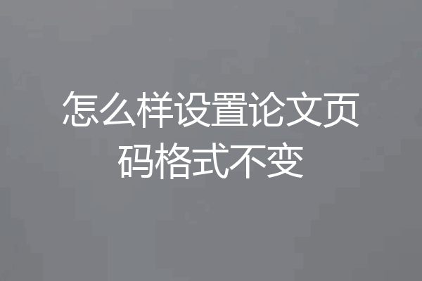 怎么样设置论文页码格式不变