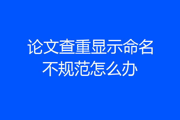 论文查重显示命名不规范怎么办