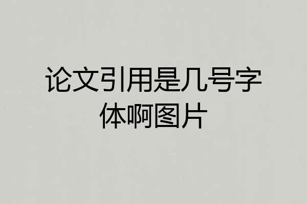 论文引用是几号字体啊图片