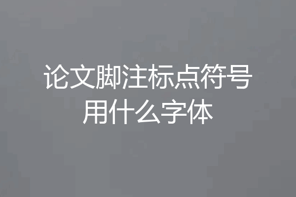 论文脚注标点符号用什么字体