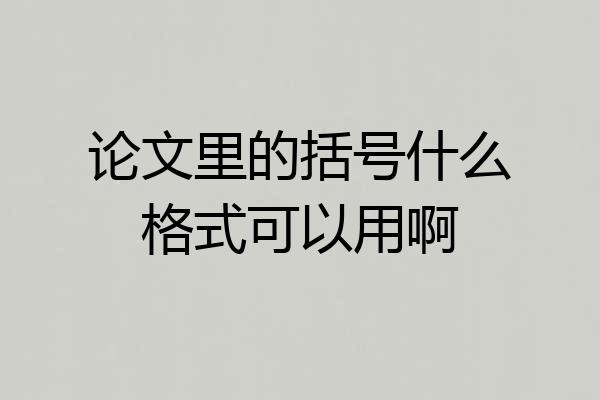 论文里的括号什么格式可以用啊