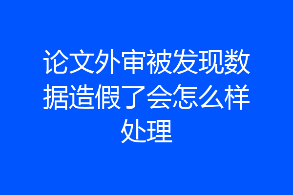 论文外审被发现数据造假了会怎么样处理