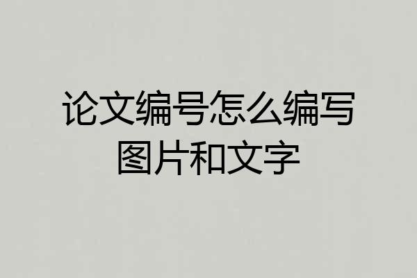 论文编号怎么编写图片和文字