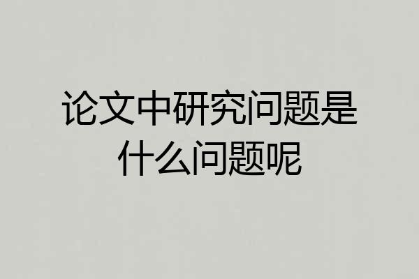 论文中研究问题是什么问题呢