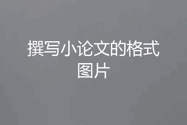撰写小论文的格式图片