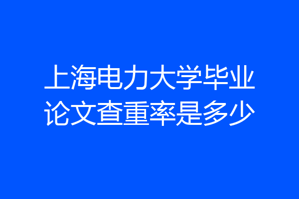 上海电力大学毕业论文查重率是多少