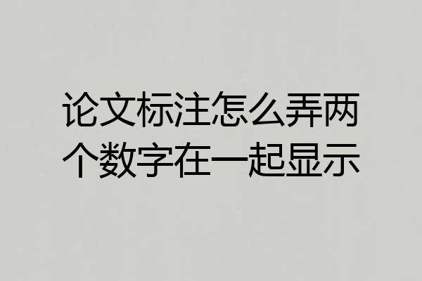 论文标注怎么弄两个数字在一起显示