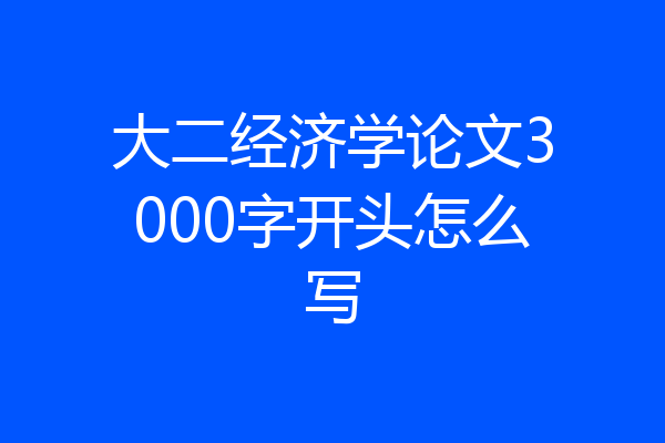 大二经济学论文3000字开头怎么写