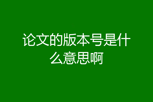 论文的版本号是什么意思啊