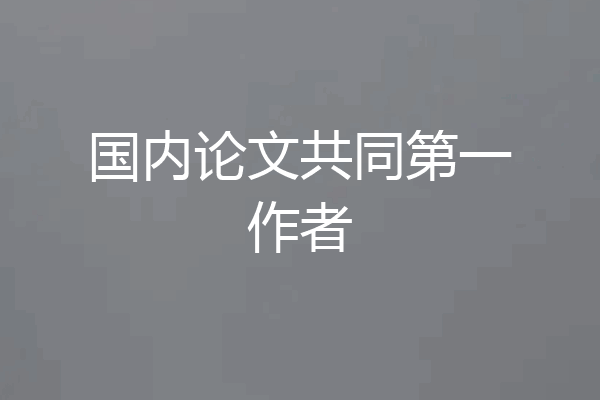 国内论文共同第一作者
