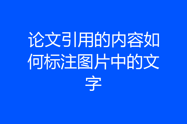 论文引用的内容如何标注图片中的文字