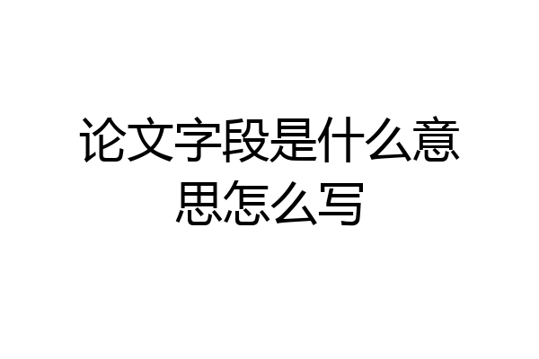 论文字段是什么意思怎么写