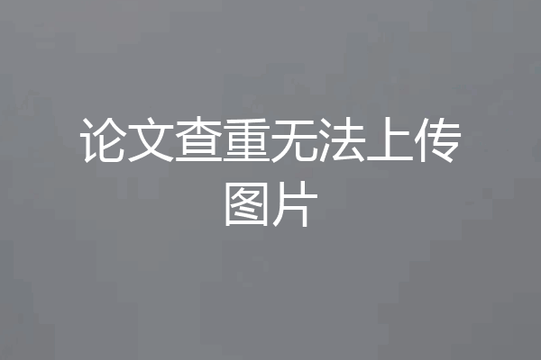 论文查重无法上传图片