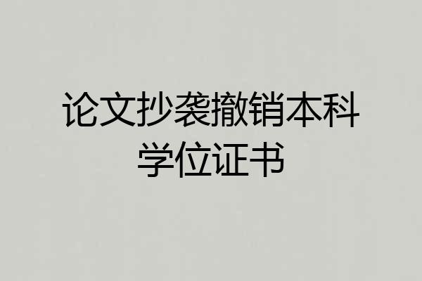 论文抄袭撤销本科学位证书