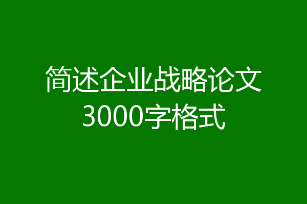 简述企业战略论文3000字格式
