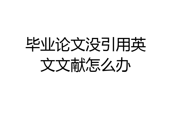 毕业论文没引用英文文献怎么办