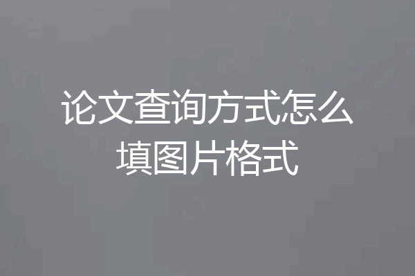 论文查询方式怎么填图片格式
