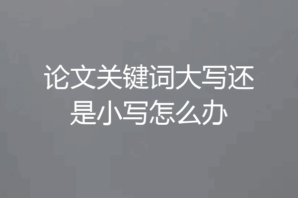 论文关键词大写还是小写怎么办