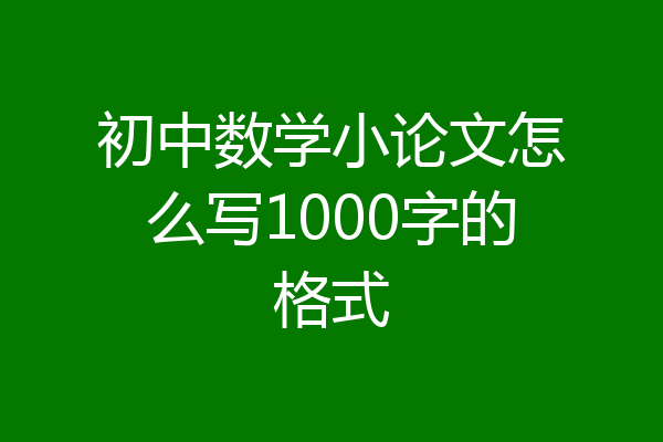 初中数学小论文怎么写1000字的格式