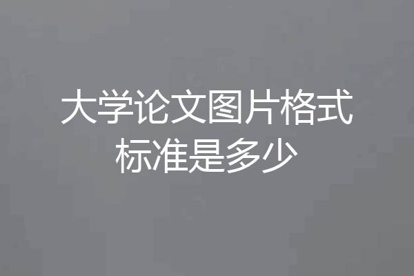 大学论文图片格式标准是多少