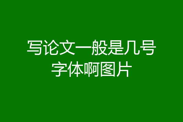 写论文一般是几号字体啊图片
