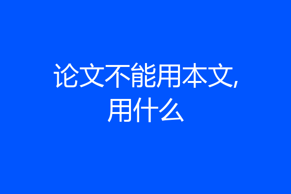 论文不能用本文,用什么