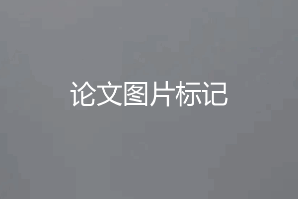 论文图片标记
