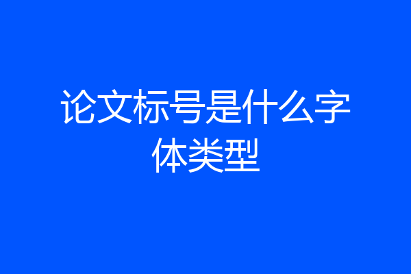 论文标号是什么字体类型