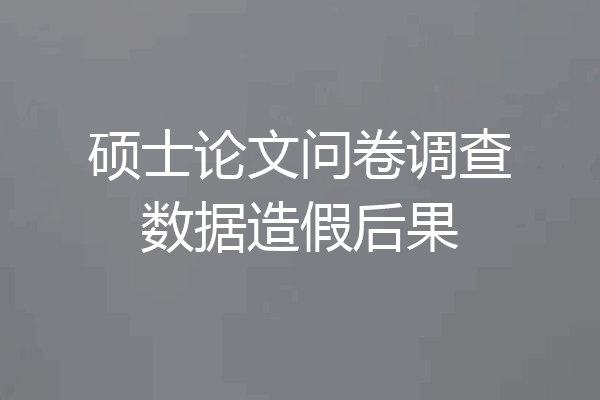 硕士论文问卷调查数据造假后果