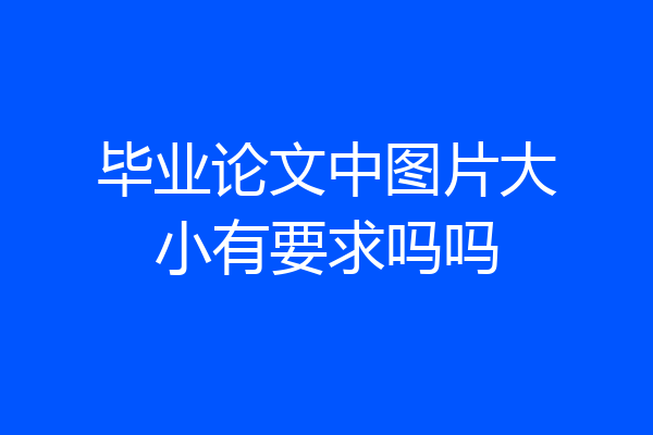 毕业论文中图片大小有要求吗吗