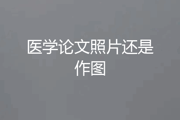 医学论文照片还是作图