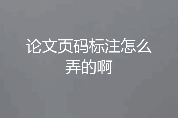 论文页码标注怎么弄的啊