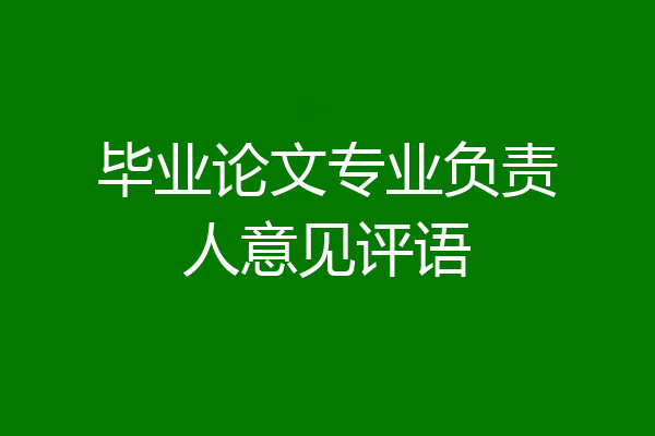 毕业论文专业负责人意见评语