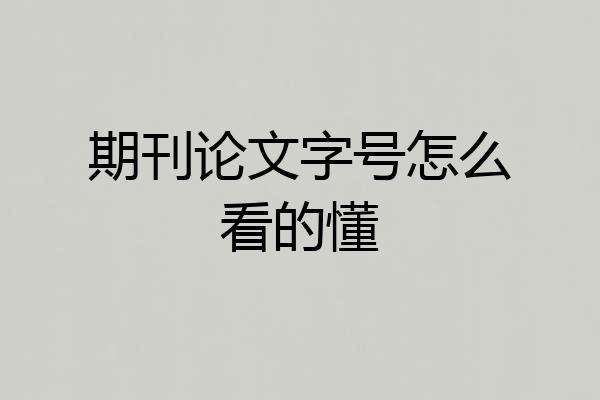 期刊论文字号怎么看的懂