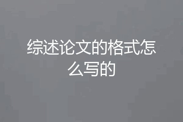 综述论文的格式怎么写的