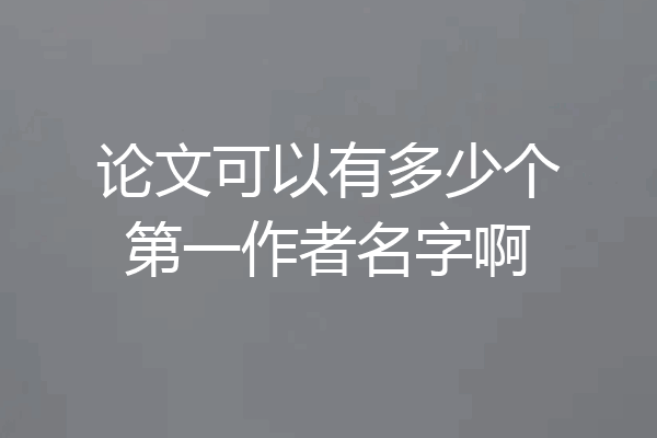 论文可以有多少个第一作者名字啊