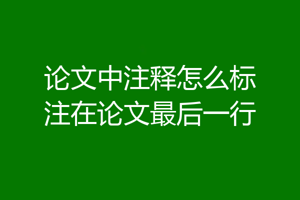 论文中注释怎么标注在论文最后一行