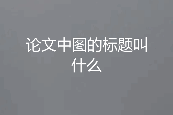 论文中图的标题叫什么
