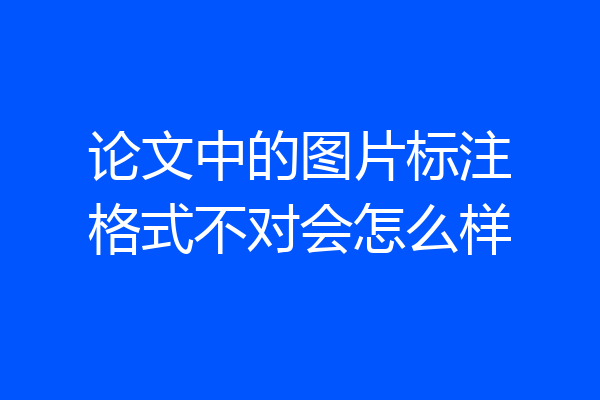 论文中的图片标注格式不对会怎么样