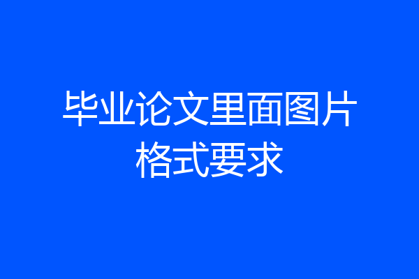 毕业论文里面图片格式要求