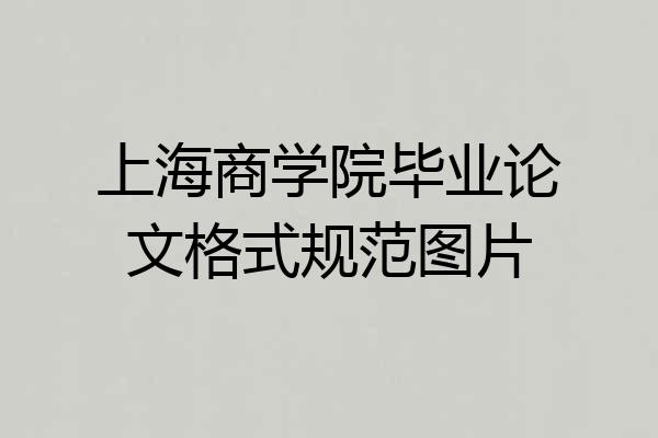 上海商学院毕业论文格式规范图片